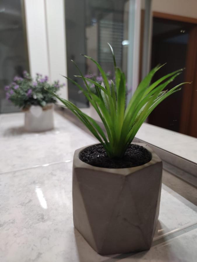 Apartment Sve U 5 Minuta Zadar Luaran gambar